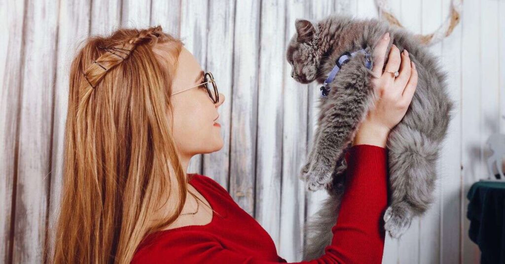 cat heat cycle behavior