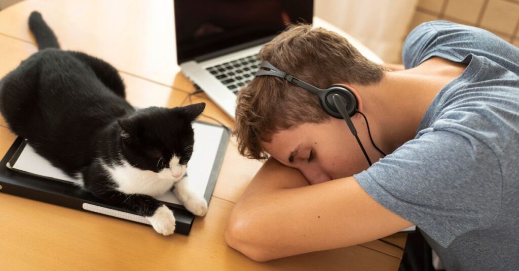 male cat not neutered behavior