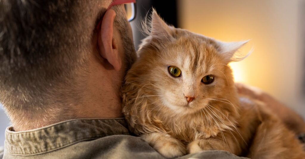 tomcat behavior issues