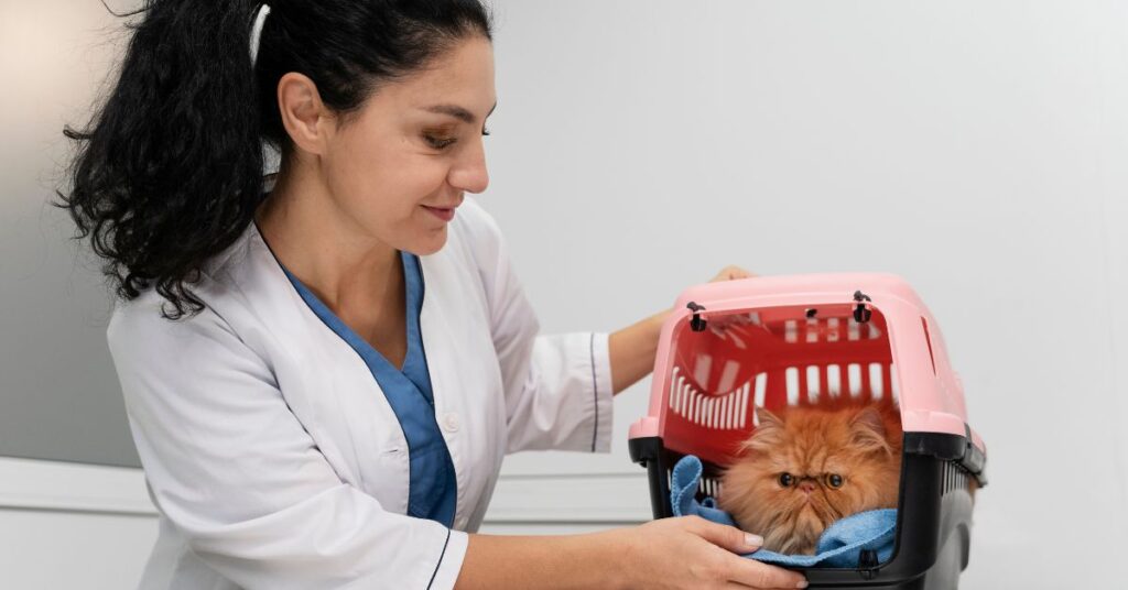diagnostic cat litter
