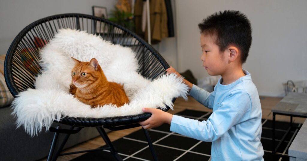 aggressive cat behavior