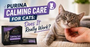 Purina calming care for cats