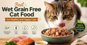 wet grain free cat food