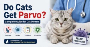 do cats get parvo
